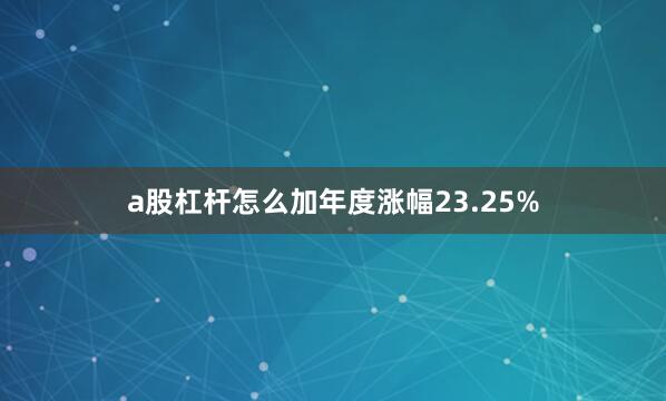 a股杠杆怎么加年度涨幅23.25%