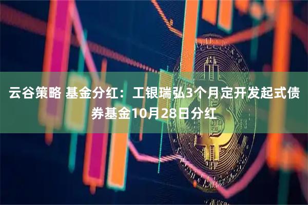 云谷策略 基金分红：工银瑞弘3个月定开发起式债券基金10月28日分红