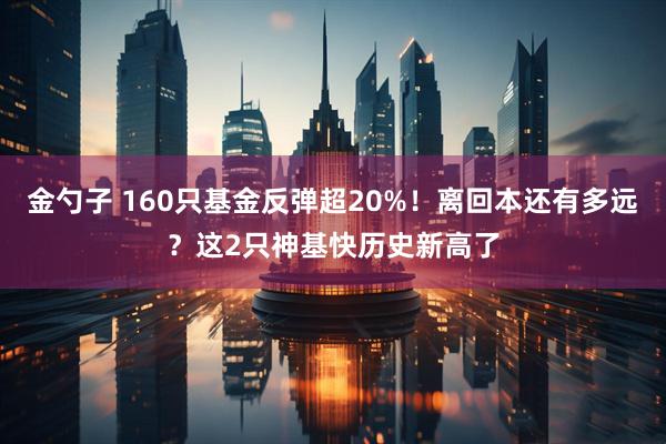 金勺子 160只基金反弹超20%！离回本还有多远？这2只神基快历史新高了